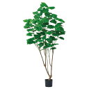 【直送】【人工観葉植物】アスカ/ウンベラータ(ポット付) グリーン/A-51106-51A【01】 造花(アーティフィシャルフラワー) 造花葉物 造花・人工観葉...