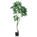 【直送】【人工観葉植物】アスカ/パキラ(ポット付) グリーン/A-51110-51A【01】 造花(アーティフィシャルフラワー) 造花葉物 造花・人工観葉植物 ...