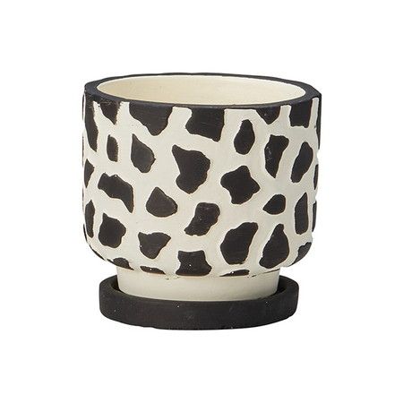 植木鉢 おしゃれ 友膳/レオパールスタンドS（受皿付）/TD753【01】 ガーデニング・園芸用品 フラワーポ..