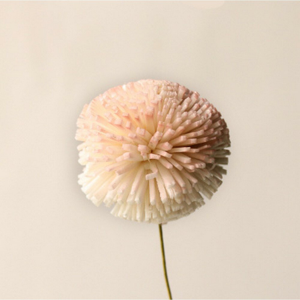 【サイズ】約25cmL/花径：約4-5cmツートンカラーが可愛らしいハンドメイドのソーラーフラワーが誕生しました。●ソーラーフラワーとはソラの木の皮を薄くむいた芯の部分を乾燥させたものを、ひとつひとつ丁寧に花の形に作り上げた手作りのお花です...