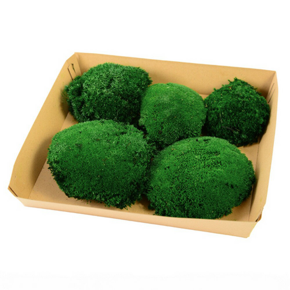 【プリザーブド】フロールエバー/ポールモス 大袋 ダークグリーン/FL824-730【01】 プリザーブドフラワー プリザーブドグリーン モス・苔