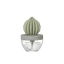 ダルトン/CACTUS FRAGRANCE DIFFUSER C W.FLOWER/G675-824C-WF【08】 リードディフューザー 完成品