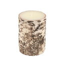 ダルトン/BIRCH WOOD LOG CANDLE M/XR23-0579M【08】 キャンドル・ロウソク ピラーキャンドル
