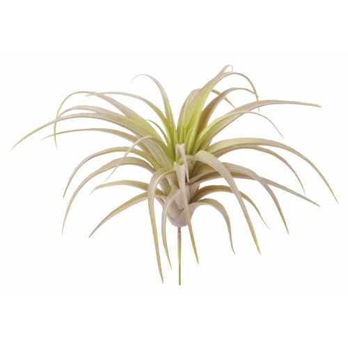 【造花】ビバ工芸/VDG-5439 ティランジア S/VDG-5439【01】 造花（アーティフィシャルフラワー） 造花..