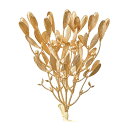【造花】MAGIQ東京堂/ゴールドミスルトゥバンドル GOLD ゴールド/FX001960【01】 造花(アーティフィシャルフラワー) 造花葉物 ヤドリギ