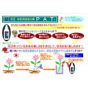 hanadonya-associe:10591706のサンプル画像2