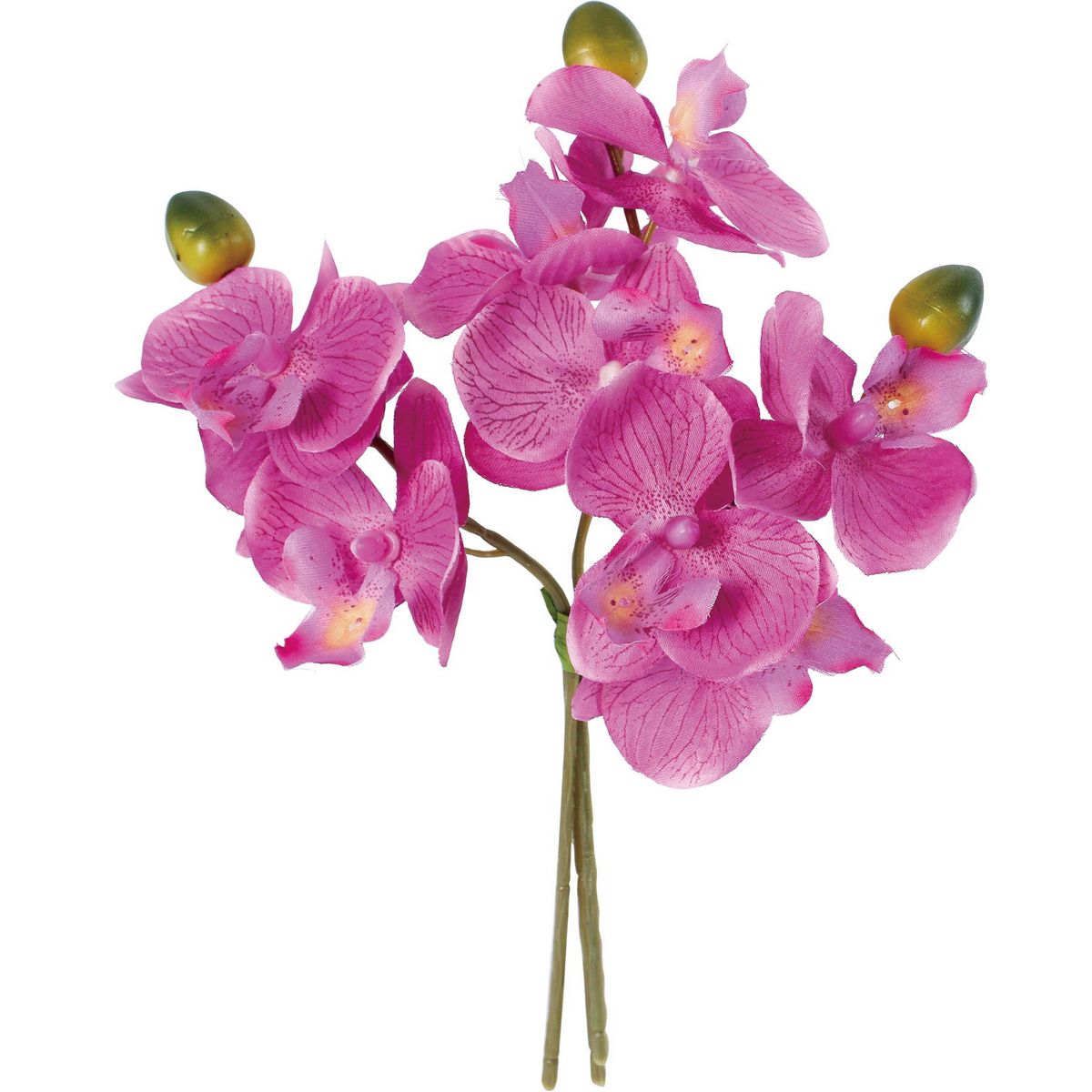 【サイズ】全長25cm・花径7cm【ブランド】横浜ディスプレイミュージアム材質：ポリエステル PE 鉄 PS 紙約19g(個体差がございます)・造花は人の手作業で作られており、一つ一つに生のお花同様の個体差があります。シワ・ほつれ等はリペアを施してご利用ください。・お花・実・葉は茎から取れる仕様になっているものが大半です。お届け時に取れてしまっている場合は付け戻してご利用下さい。造花　胡蝶蘭の枝について：画像はイメージです。真っ直ぐな状態で届きますのでゆっくりとたわませてご利用ください。【はなどんやお取り扱い商品について】■はなどんや掲載商品には、在庫品とメーカーお取寄商品がございます。掲載納期をご参考にされて下さい。即日発送の納期が記載されている商品でも、当店在庫が欠品となった場合には、お取り寄せにてご手配を進めさせていただきます。※コンビニ支払い・銀行振込等、前払い決済でのご注文については即日発送の対象外となります。■他店舗でも販売をしているため、また、メーカーの実在庫欠品等によりご注文後にご用意ができなくなる場合がございます。その場合にはメールにてご案内をさせて頂きます。■分納は承っておりません。一番遅い納期の商品に合わせて発送となります。/【VAR：28245】date20240711/ポピー2024AW秋冬/999color10203/24awymydn3/bkz-0602造花 アーティフィシャルフラワー コチョウラン（胡蝶蘭）フェイクフラワー フラワーアレンジ花材 おしゃれ ハンドメイド材料 クラフト素材 装飾 ディスプレイ 春 夏 秋 お供え お正月 ブライダル 成人式/【横浜ディスプレイミュージアム】