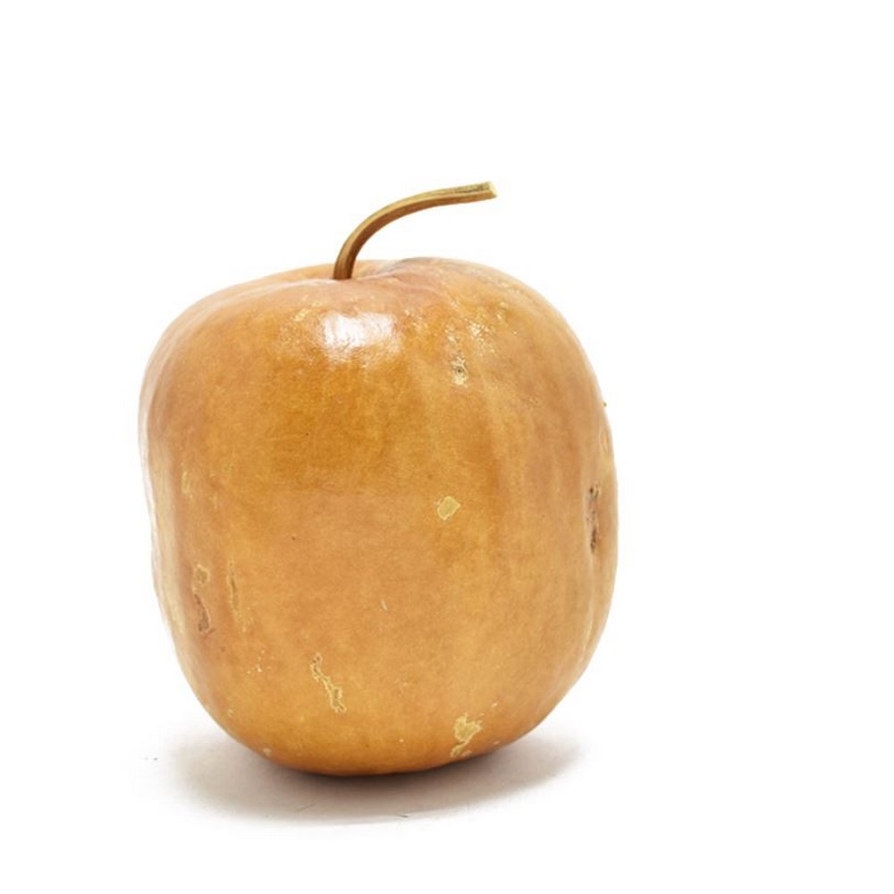 【ドライ】コアトレーディング/ジャイアントアップル 1個 ナチュラル/30355【10】[5袋] ドライフラワー ドライ実物＆フルーツ フルーツ、香りのアイテム