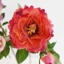 【造花】アスカ/premium collection ティーローズ×2 つぼみ×1 ラスト/AP03002-38【01】 造花(アーティフィシャルフラワー) 造花 花材「は行」 バラ