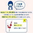 【造花】アスカ/premium collection ポピー×1 つぼみ×1 クリームホワイトピンク/AP03005-11P【01】 造花(アーティフィシャルフラワー) 造花 花材「は行」 ポピー