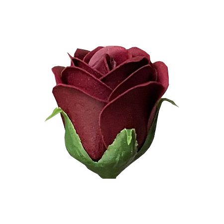 ڥץեGracias/ץեإåɥS 磻/F-28901 ץꥶ֥ɥե ե쥰󥹥ץե...