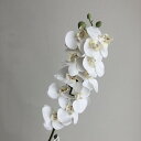 【造花】アスカ/コチョウラン×12 つぼみ×3 #001 ホワイト/A-33330-1【01】 造花(アーティフィシャルフラワー) 造花 花材「か行」 コチョウラン(胡蝶蘭)