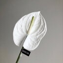 【造花】アスカ/アンスリウム ホワイト/A-34077-001【01】 造花(アーティフィシャルフラワー) 造花 花材「あ行」 アンスリューム