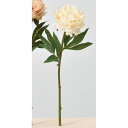 【造花】アスカ/ピオニー #011 クリームホワイト/A-34378-11【01】 造花(アーティフィシャルフラワー) 造花 花材「さ行」 シャクヤク(芍薬)・ボタン(牡丹)・ピオニー