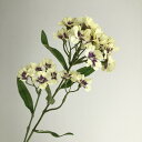 【造花】アスカ/フロックス×28 クリームバイオレット/A-34952-11V【01】 造花(アーティフィシャルフラワー) 造花 花材「は行」 その他「は行」造花花材
