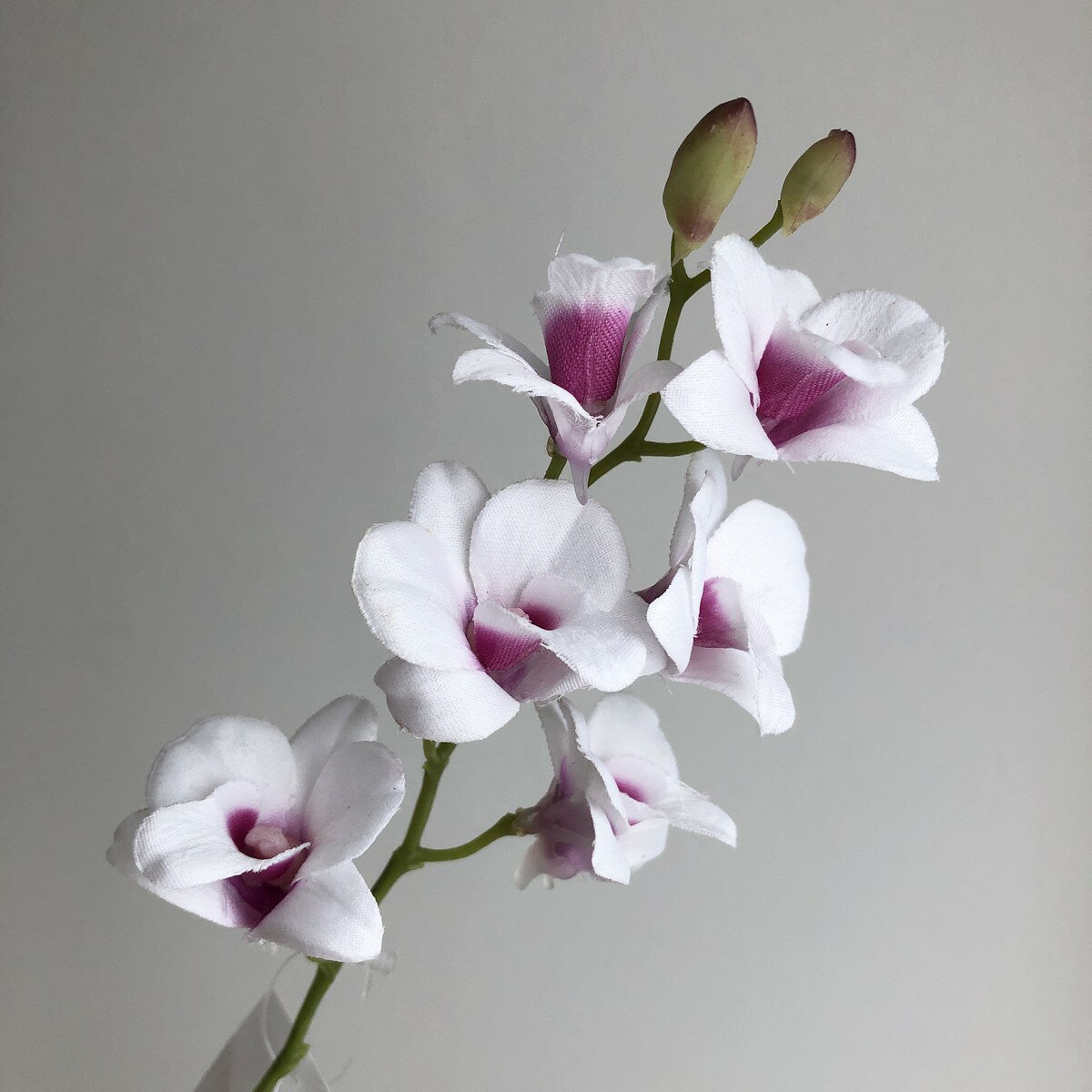 【造花】アスカ/ミニオーキッド×6 つぼみ×2 ホワイトオーキッド/A-34950-45W【01】 造花（アーティフィシャルフラワー） 造花 花材「ら行」 ラン（蘭）・オーキッド