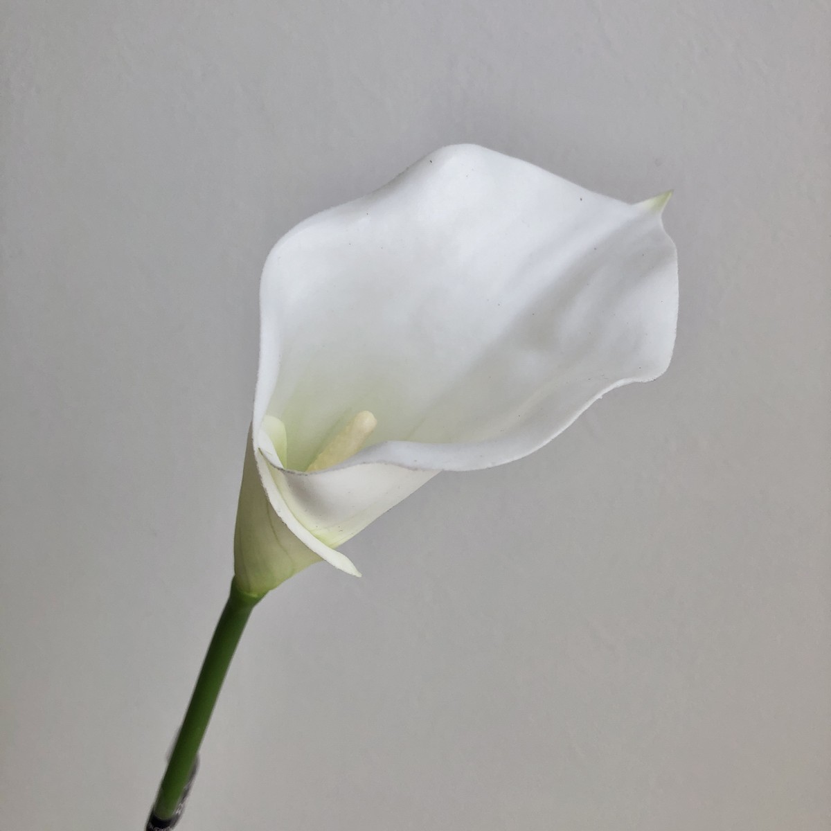 【造花】アスカ/カラーリリィ ホワイト/A-32223-1【01】 造花(アーティフィシャルフラワー) 造花 花材「か行」 カラー