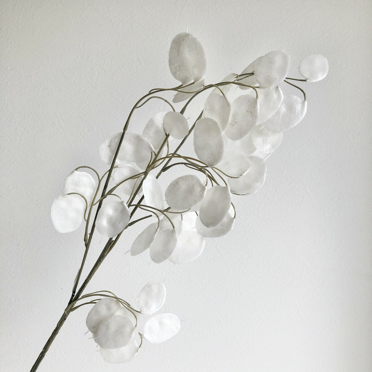 【造花】アスカ/マネープラント #031 パール/A-43979-31【01】 造花（アーティフィシャルフラワー） 造..