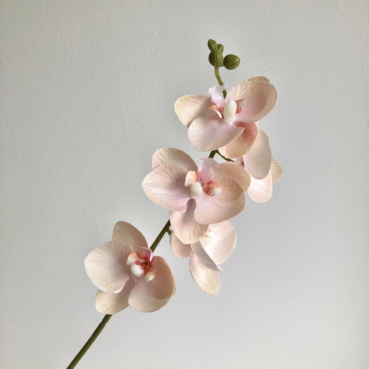 【造花】アスカ/ミディコチョウラン×5 つぼみ×4 ピーチ/A-35168-4【01】 造花（アーティフィシャルフラワー） 造花 花材「か行」 コチョウラン（胡蝶蘭）