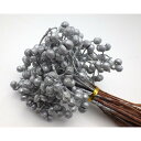 【ドライ】GARDEN PALETTE MONO/ナンキンハゼ シルバー 約50g /GPDNC-043【01】 ドライフラワー ドライ実物&フルーツ 木の実