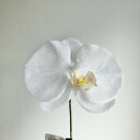 【造花】アスカ/和紙風コチョウランピック(L) #001Y ホワイトイエロー/A-73414-1Y【01】 造花(アーティフィシャルフラワー) 造花 花材「か行」 コチョウラン(胡蝶蘭)
