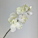 【造花】《生花転写》FIAN/ヴァンダオーキッド/FK0010W/Y【01】 造花(アーティフィシャルフラワー) 造花 花材「ら行」 ラン(蘭)・オーキッド