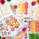 【ドライ】押し花福袋2025/1-300【07】 ドライフラワー 押し花