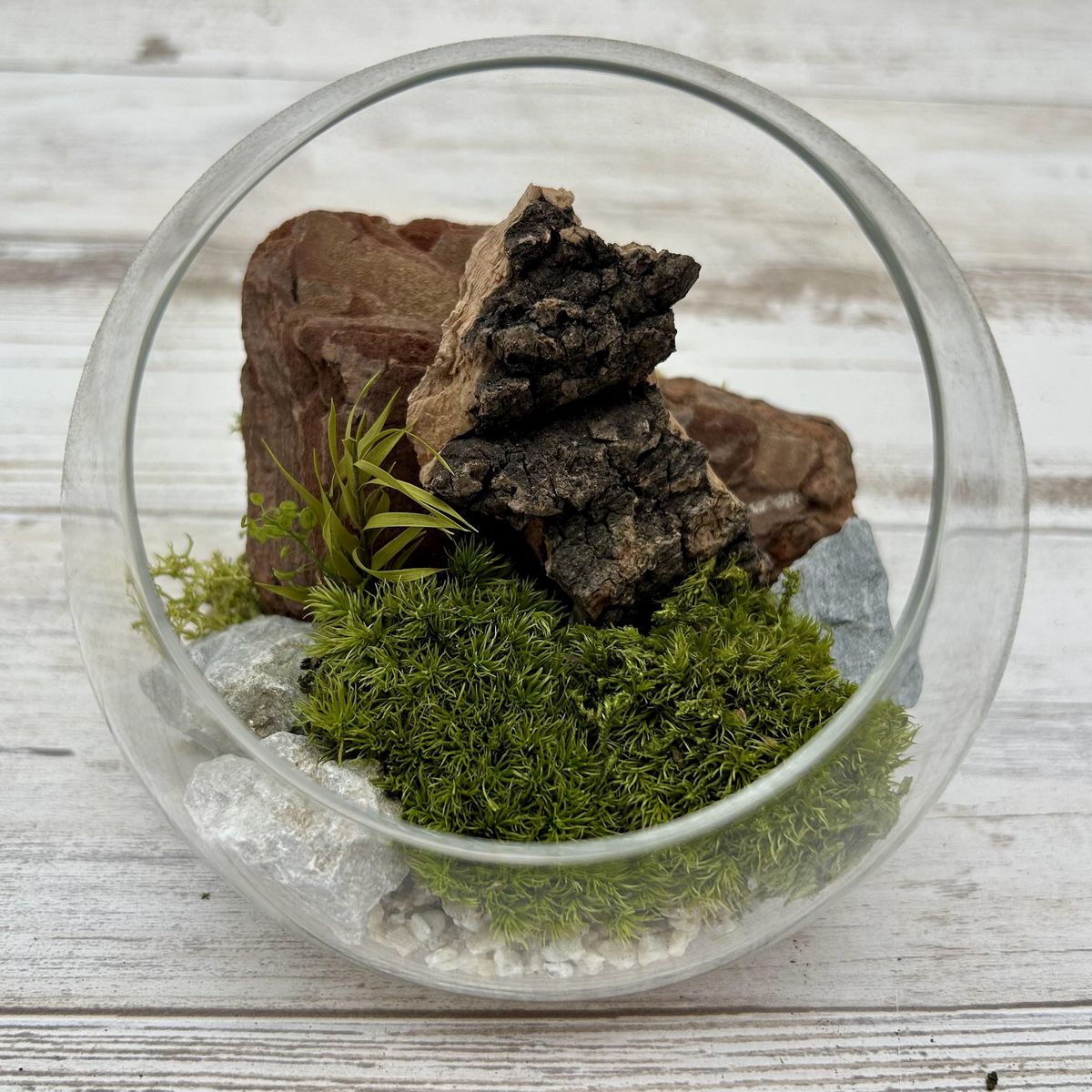 GARDEN PALETTE MONO/ݥץ ɡ঵12cmåɥʥ/11148KP01 ץꥶ֥ɥե ץꥶ֥...