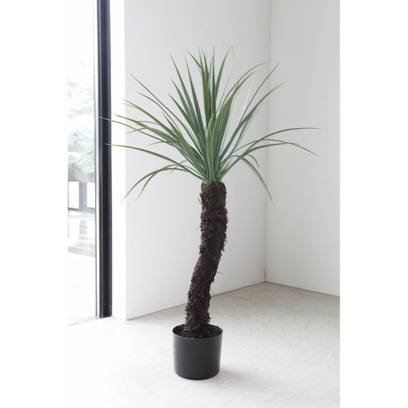 コベントガーデン/ユッカロストルータ/LG-08【07】 造花（アーティフィシャルフラワー） 造花葉物 造花..