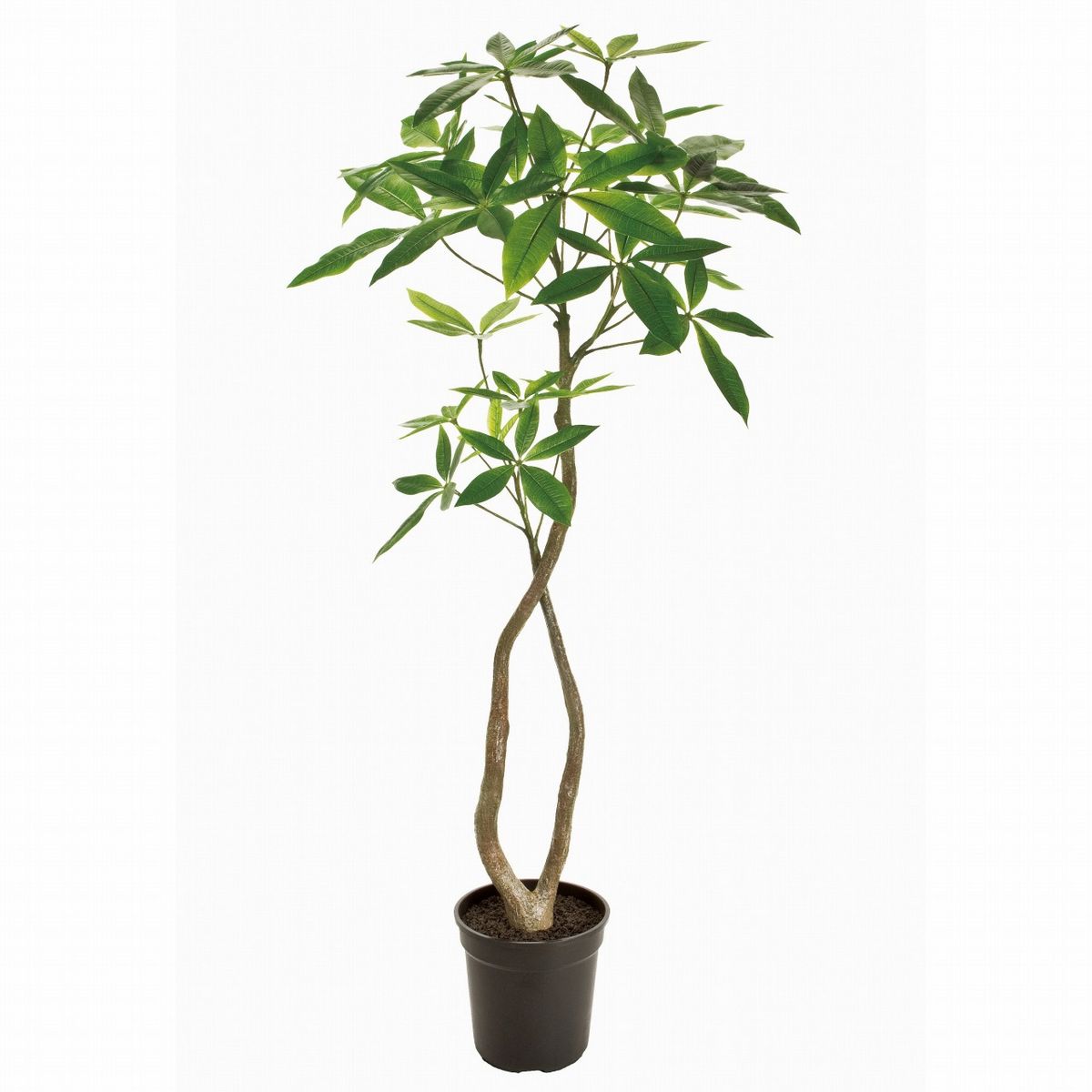 【直送】【人工観葉植物】MAGIQ東京堂/パキラ　4F　GREEN/FG022000※返品代引不可【01】 造花（アーティ..