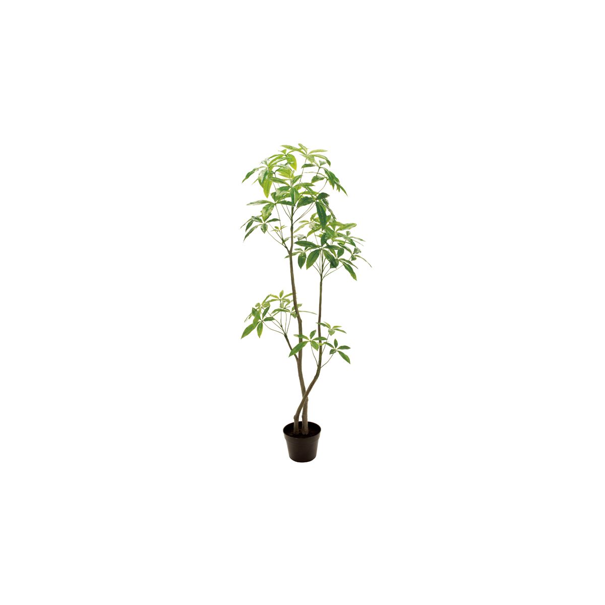 【直送】【人工観葉植物】MAGIQ東京堂/パキラ　6F　GREEN/FG012100※返品代引不可【01】 造花（アーティ..