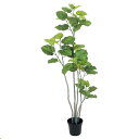【直送】【人工観葉植物】MAGIQ東京堂/ウンベラータ 6F /FG005227※返品・代引不可【01】 造花(アーティフィシャルフラワー) 造花葉物 造花・人...