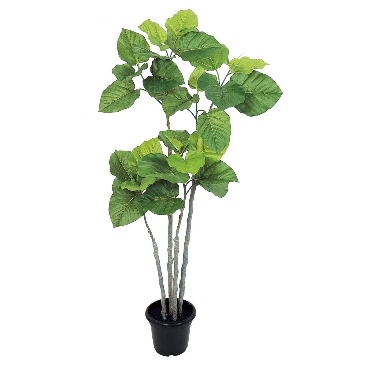 【直送】【人工観葉植物】MAGIQ東京堂/ウンベラータ　4F　/FG005228※返品代引不可【01】 造花（アーテ..