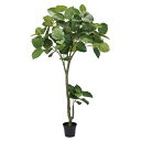【直送】【人工観葉植物】MAGIQ東京堂/ウンべラータ /FG016500※返品・代引不可【01】 造花(アーティフィシャルフラワー) 造花葉物 造花・人工観...