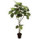 【直送】【人工観葉植物】MAGIQ東京堂/ウンベラータ ツイスト グリーン 5F/FG005226 ※返品・代引不可【01】 造花(アーティフィシャルフラワー)...