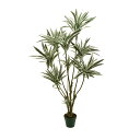 【直送】【人工観葉植物】MAGIQ東京堂/ドラセナ CR/GR クリームグリーン/FG025650 ※返品・代引・キャンセル不可【01】 造花(アーティフィシャ...