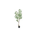 【直送】【人工観葉植物】MAGIQ東京堂/★AX★シロダモポット グリーン GREEN/FG008720 ※返品・代引・キャンセル不可【01】 造花(アーティフ...