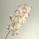 【造花】アスカ/スイトピー×9 #003C クリームピンク/A-34347-3C【01】 造花(アーティフィシャルフラワー) 造花 花材「さ行」 スイトピー