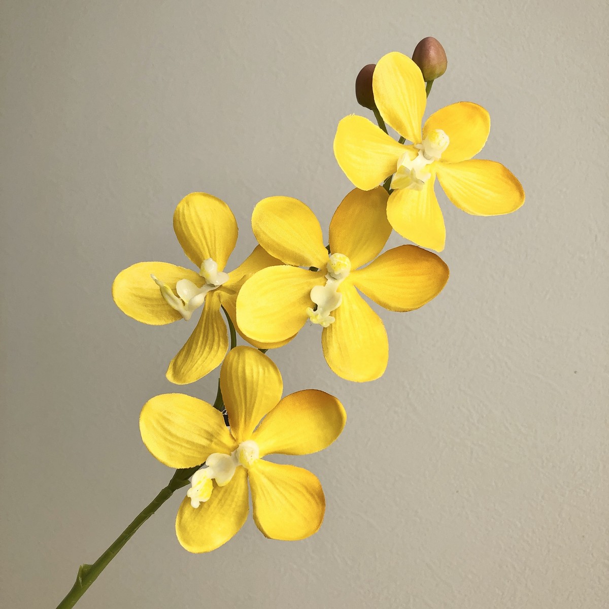 【造花】アスカ/モカラ×4 つぼみ×2 イエロー/A-34618-10【01】 造花（アーティフィシャルフラワー） 造花 花材「ら行」 ラン（蘭）・オーキッド