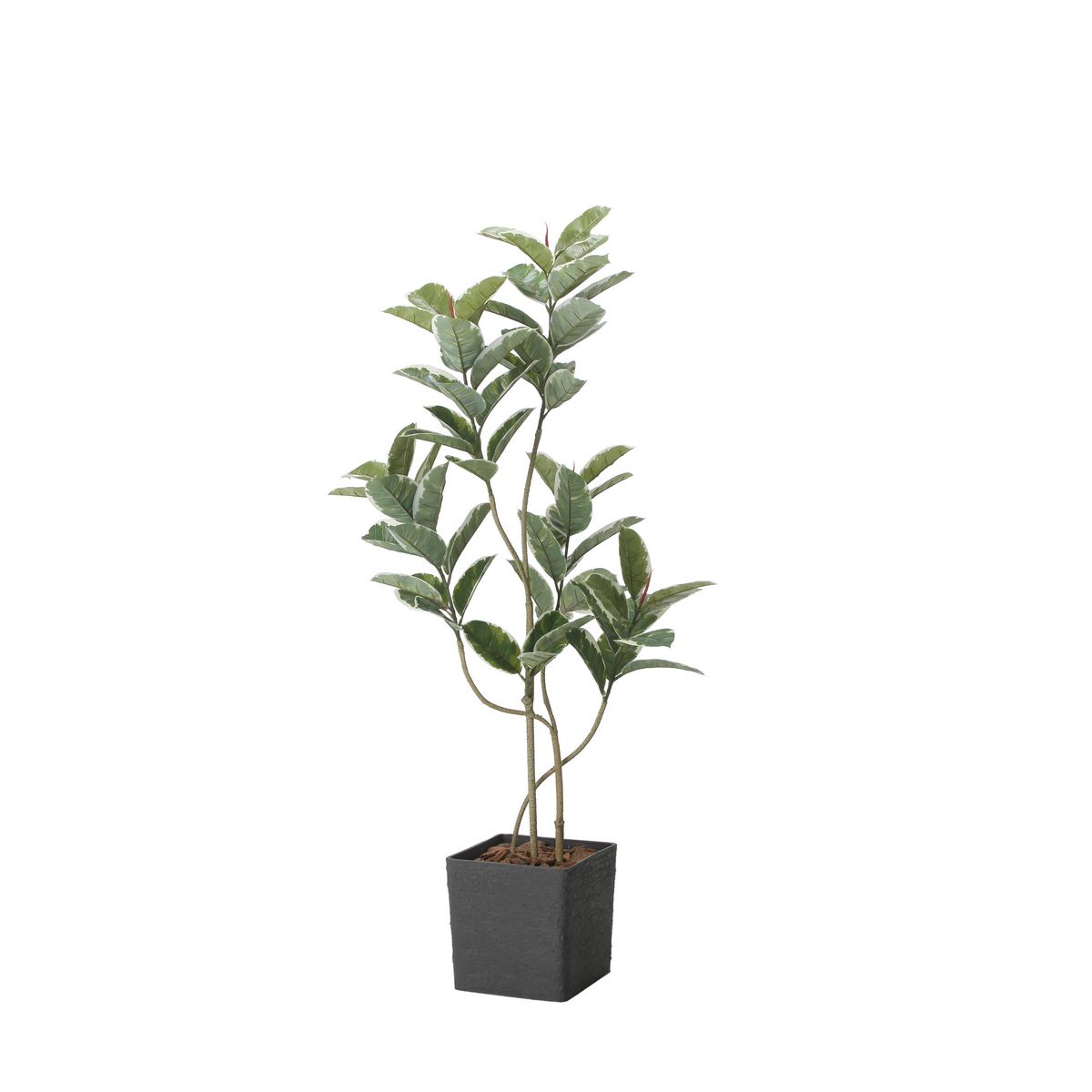 【直送】 【人工観葉植物】光の楽園/光触媒 インテリアアルテシマ1.6/2521A380 ※返品・代引・キャンセル不可【10】 造花（アーティフィシャルフラワー） 造花葉物 造花・人工観葉植物 高さ〜200cm