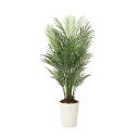 【直送】 【人工観葉植物】光の楽園/光触媒 アレカパーム1.7(ポリ製)/2006P500 ※返品・代引・キャンセル不可【10】 造花(アーティフィシャルフラワ...