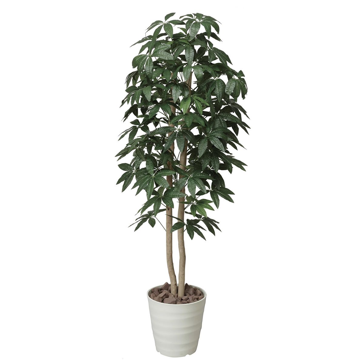 【直送】 【人工観葉植物】光の楽園/光触媒 パキラツリー 1.6/170P320 ※返品・代引・キャンセル不可【1..