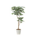 【直送】 【人工観葉植物】光の楽園/光触媒 デザインベンジャミン1.6/2516A350 ※返品・代引・キャンセル不可【10】 造花(アーティフィシャルフラワー...