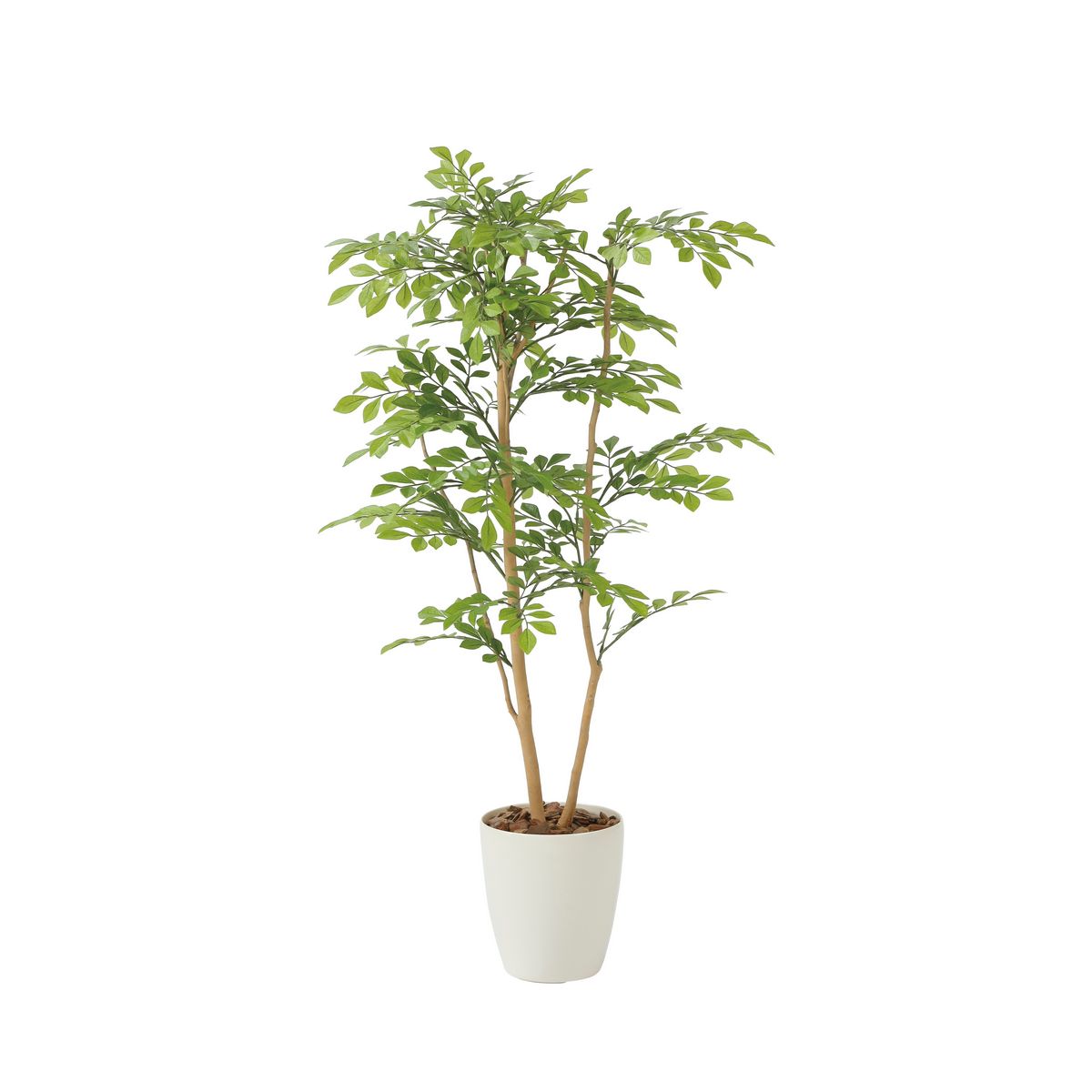 【直送】 【人工観葉植物】光の楽園/光触媒 ライトトネリコ1.0/2232A180 ※返品・代引・キャンセル不可..
