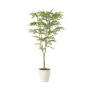 【直送】 【人工観葉植物】光の楽園/光触媒 ライトトネリコ1.6/2231K330 ※返品・代引・キャンセル不可【10】 造花(アーティフィシャルフラワー) 造...