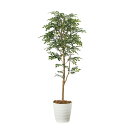 【直送】 【人工観葉植物】光の楽園/光触媒 トネリコ 1.6/2107P320 ※返品・代引・キャンセル不可【10】 造花(アーティフィシャルフラワー) 造花葉...