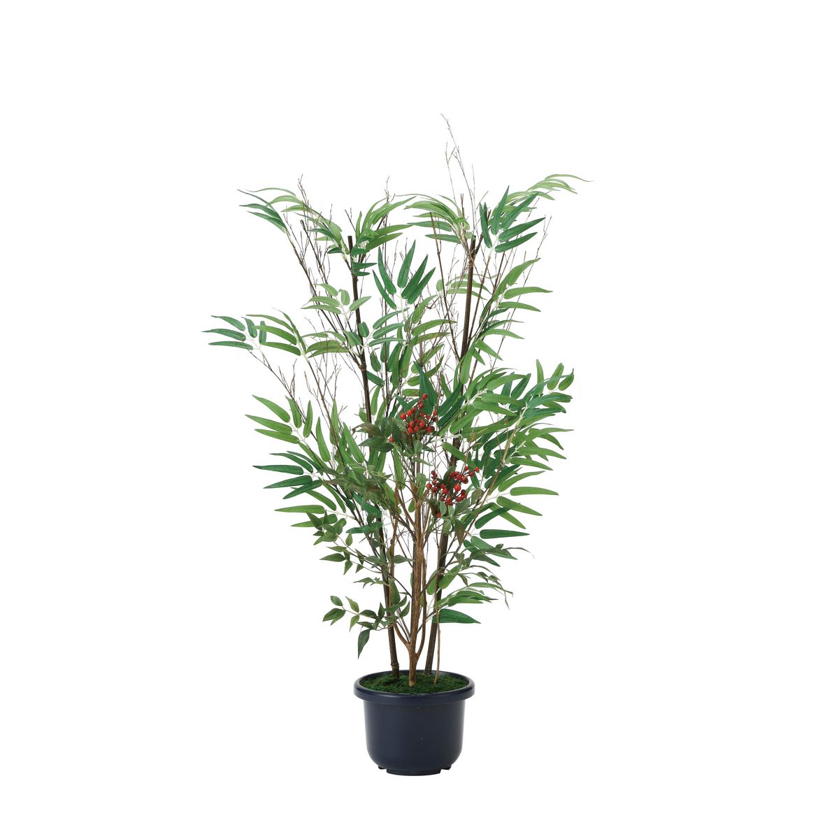 【直送】 【人工観葉植物】光の楽園/光触媒 黒竹＆南天1.0(幹：天然黒竹)/2011A150 ※返品・代引・キャ..