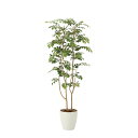【直送】 【人工観葉植物】光の楽園/光触媒 マウンテンアッシュ1.6/2021P350 ※返品・代引・キャンセル不可【10】 造花(アーティフィシャルフラワー)...