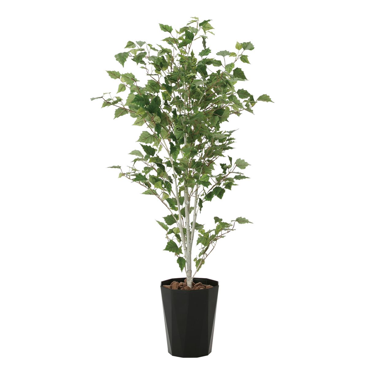 【直送】 【人工観葉植物】光の楽園/光触媒 白樺1.4/607K275 ※返品・代引・キャンセル不可【10】 造花..