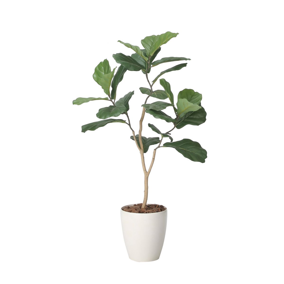 【直送】 【人工観葉植物】光の楽園/光触媒 デザインカシワバゴム1.1/2414A160 ※返品・代引・キャンセ..